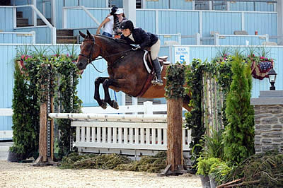 Lawrence Langer and Elizabeth Traband to Receive Top Awards at USEF Annual Meeting