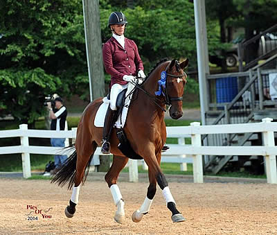 Dressage at Lexington Acquired by Virginia Dressage Association