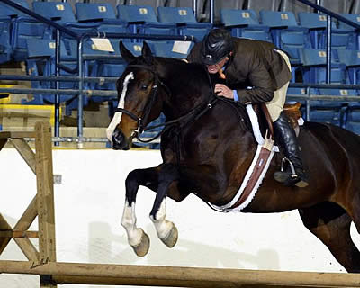 Stonewall Country Horse Shows Kick Off at the Virginia Horse Center This Weekend