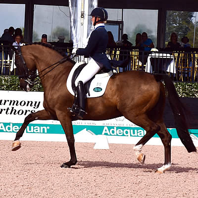 Katherine Bateson-Chandler and Alcazar Make Brilliant Comeback in Their First FEI Grand Prix of 2017