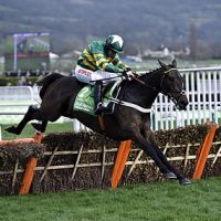 Cheltenham Champion Hurdle