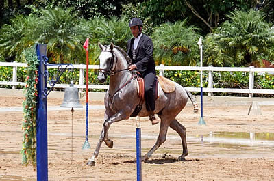 Generations of Interagro Talent Showcased at Brazilian Working Equitation Championships