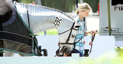 Equestrian Aid Foundation Announces New Horse Show Program