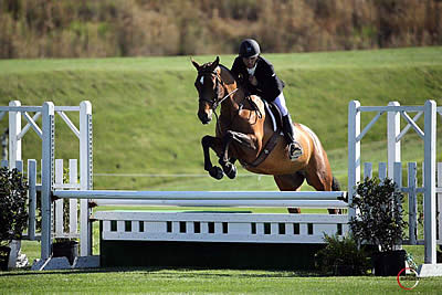 Daniel Bedoya and Ragtime’s Bellissima Win $5,000 USHJA National Hunter Derby