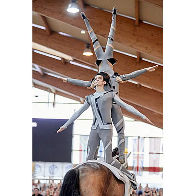 European Vaulting Championships for Seniors: Triple Gold for Germany, Italy Takes Pas de Deux