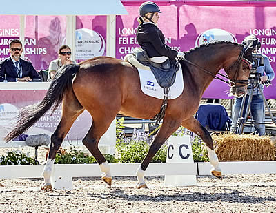 Great Britain and Dynamic Danes Share Honours as Para Dressage Draws to a Close