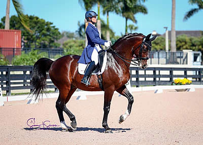 National Competitors Take to the Ring at AGDF 6