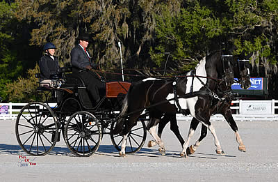 Adcox and Weber Take Division Leads in USEF Combined Driving National Championships