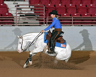 Reining Horses at Jacksonville Equestrian Center Compete for over $130,000 in Prizes