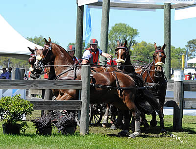 New Leaders Emerge Following Marathon in USEF Combined Driving National Championships