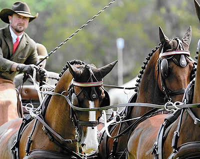 Chester Weber Predicts “Best Ever” Live Oak International