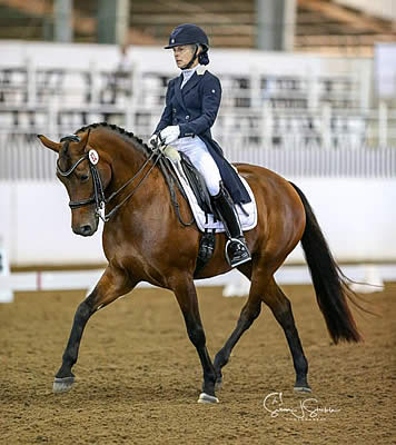 Houston Dressage Society Hosts CDI Small Tour Showdown