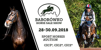 Live Online Streaming of Baborówko Horse Sale Show