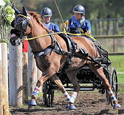 US Para-Driving Team Successful at FEI World Single and Para Driving Championships