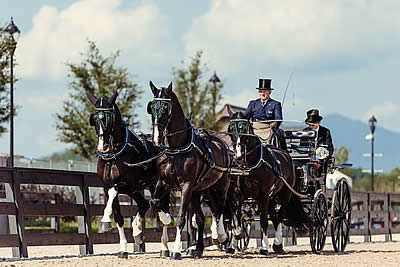 Superb Dressage Display Puts Peerless Exell in Control