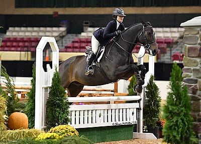 WIHS Regional Horse Show and USHJA Zone 3 Championship Conclude as Prelude to WIHS