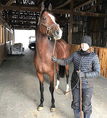 Grade 1 Winner Wake Forest and New York Champ Kharafa Retire to Old Friends