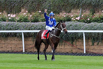 Winx Beats Justify in the 2018 Secretariat Vox Populi Award