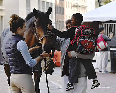 Washington International Horse Show Celebrates in the City