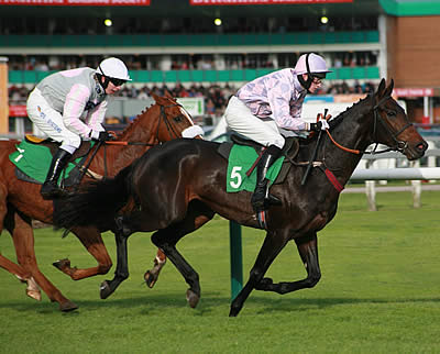 Cheltenham Festival: Most Memorable Gold Cup Wins