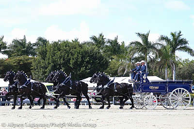 Gentle Giants Bring the Thunder at Chesapeake International Draft Horse Show