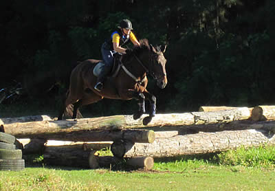 Equestrian Education Expert Glenys Cox to Visit Because of Horses Podcast on March 15