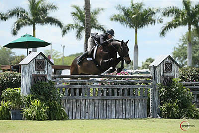 El Primero Is Number One Again with Victoria Colvin in $50k USHJA International Hunter Derby