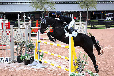 Genevieve Edwards Tops $15k 1.35-1.40m Jumper Classic & $5k 1.35m Welcome Stake at Tryon