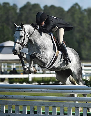 Kelley Farmer and Namely Win $25,000 USHJA International Hunter Derby