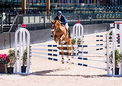 Nicky Galligan and Javas Miss Jordan Win $15,000 1.35m-1.40m Jumper Stake