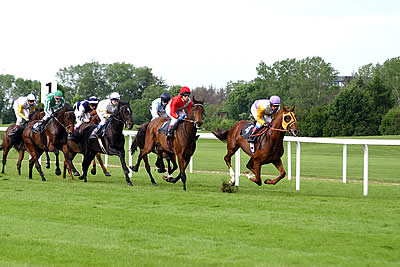 United States’ Popular Sport of Horse Racing