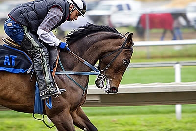 Horse Derby Odds: How Sure Are You Betting On?