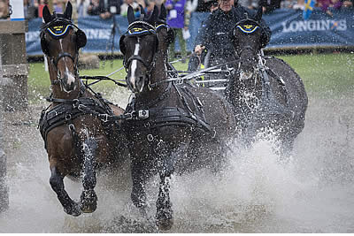 Equestrian Sport Boosted with Allocation of Major Events through 2021