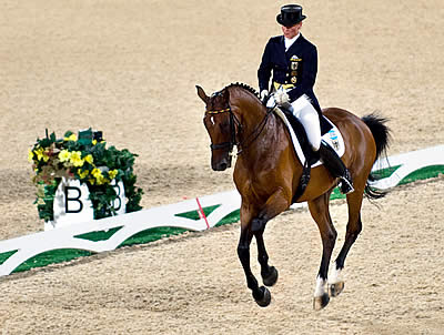 What Are the Three Areas of Equestrian Eventing?