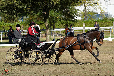 Laure Philippot Took the Lead after Second Series of Dressage at Les 5 Etoiles de Pau