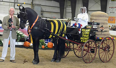 Costume Inspiration from US Equestrian Breed Affiliates’ National Championships