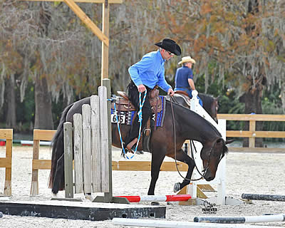 Florida Gold Coast Quarter Horse Circuit Breaks Entry Records on Second Day