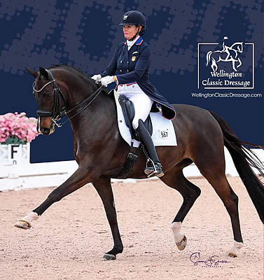 Wellington Classic Dressage in the Tropics I & II