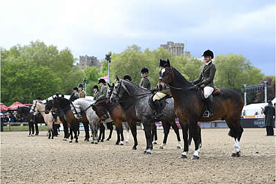 Riders from 16 Countries Compete in Virtual Windsor’s Autumn Series