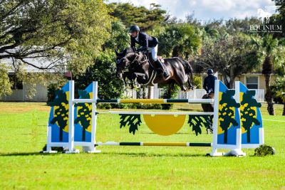 Darragh Kenny and Cazador Ls Top Turf Tour Grand Prix at Polo West