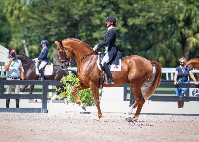 Moreira Laliberté and I Do Kiss Earn FEI Grand Prix Victory at AGDF 11