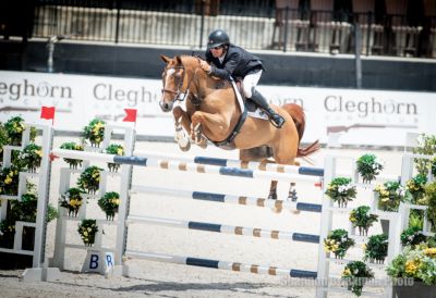 Aaron Vale Stakes Claim on Tryon Spring 6/TR&HC Charity One Horse Show Competition