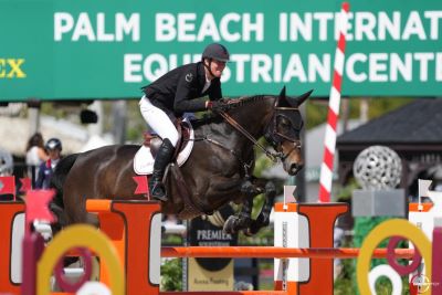 Victory for Verlooy in the $37k Adequan WEF Challenge Cup Round VIII