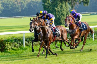 First Timer Guide to Attending the Kentucky Derby