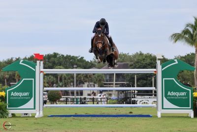 No Worries for Akuna Mattata in Adequan WEF Challenge Cup