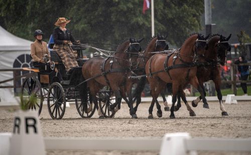 Narrow Lead for Germans after Day 2 of Dressage in Exloo