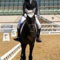 DRESSAGE PHASE IN EVE NTING/CROSS-COUNTRY COMPETITION Photo by chris clark: https://www.pexels.com/photo/young-female-jockey-riding-horse-during-training-in-arena-5784513/