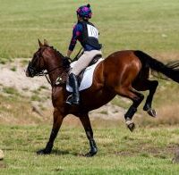 EVENTING PHASE Photo by TheOther Kev: https://www.pexels.com/photo/an-equestrian-in-action-5655497/