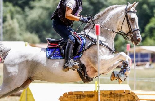 CROSS-COUNTRY/EVENTING Photo by Aitana Fañanas Balaguer: https://www.pexels.com/photo/horse-with-jockey-jumping-over-obstacle-16338660/