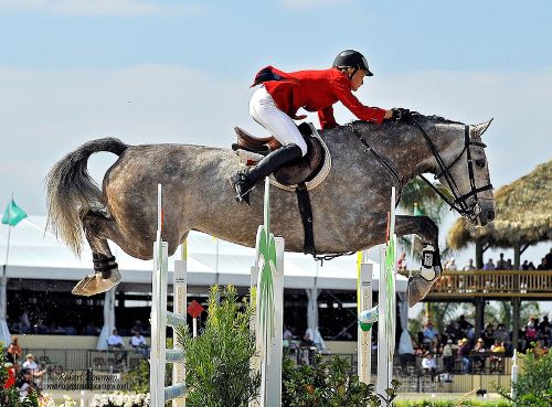 Showjumper at the WEF - Winter Equestrian Festival in Wellington, FL. Photo by Rob Bowman.